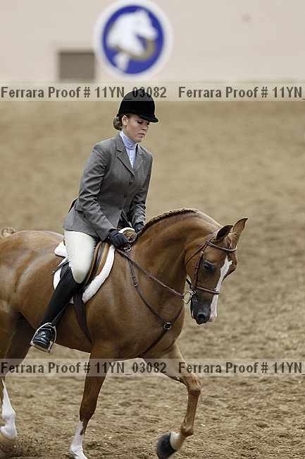 Proof 11yn_03082