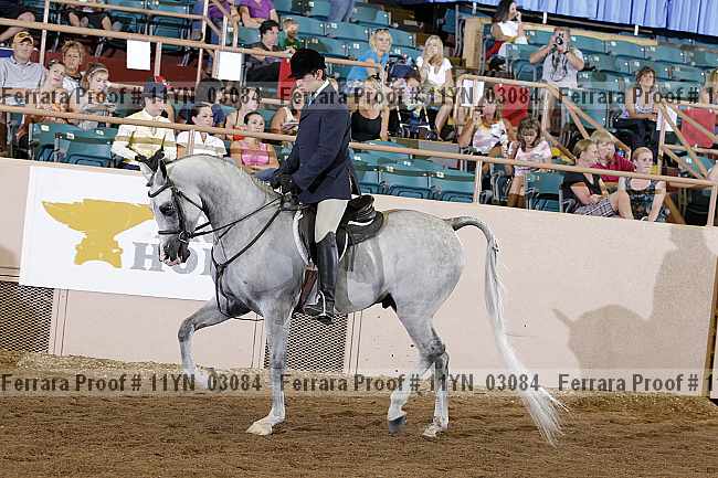 Proof 11yn_03084