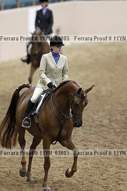 Proof 11yn_03085