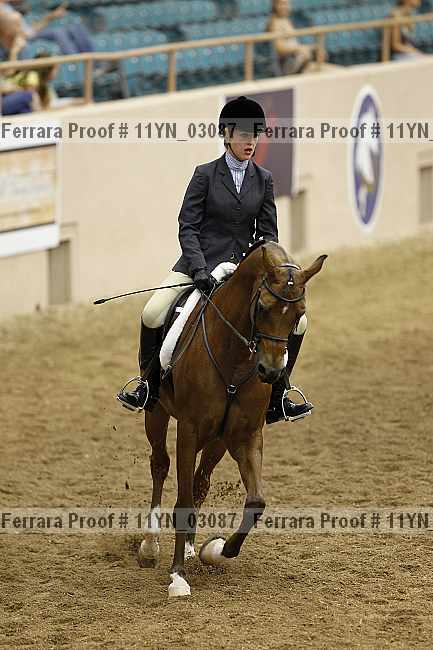 Proof 11yn_03087
