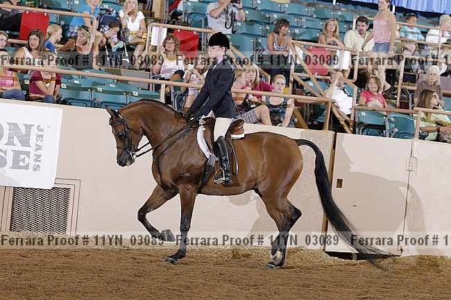 Proof 11yn_03089