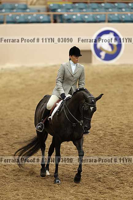 Proof 11yn_03090