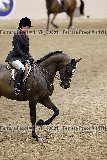 Proof 11yn_03091