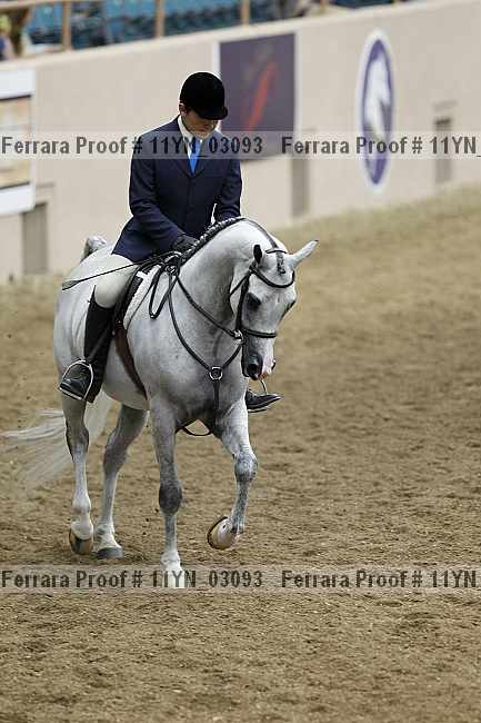 Proof 11yn_03093