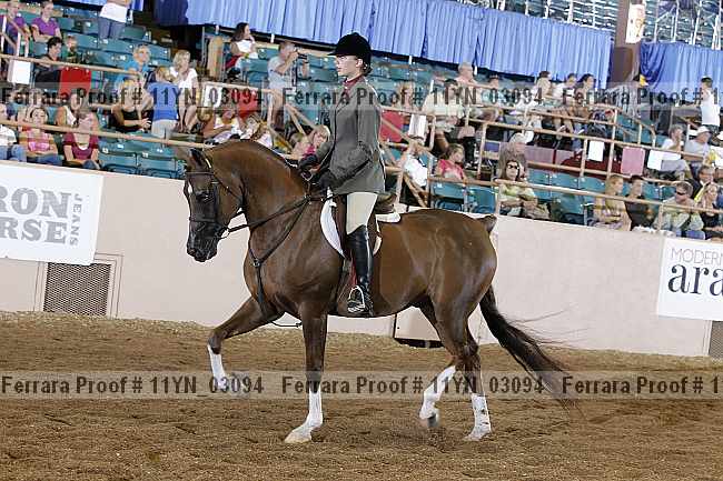 Proof 11yn_03094