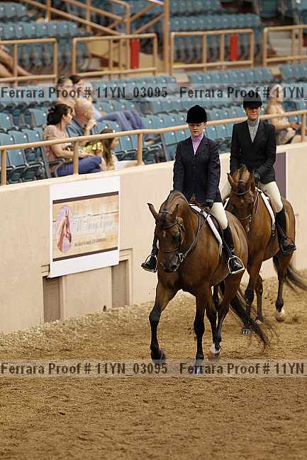 Proof 11yn_03095