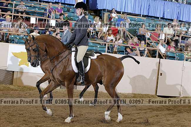 Proof 11yn_03097