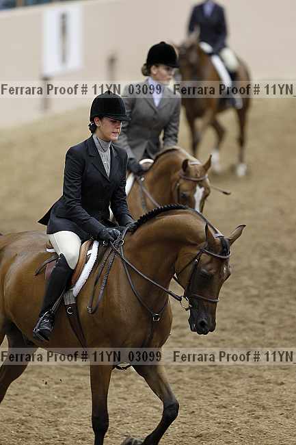 Proof 11yn_03099