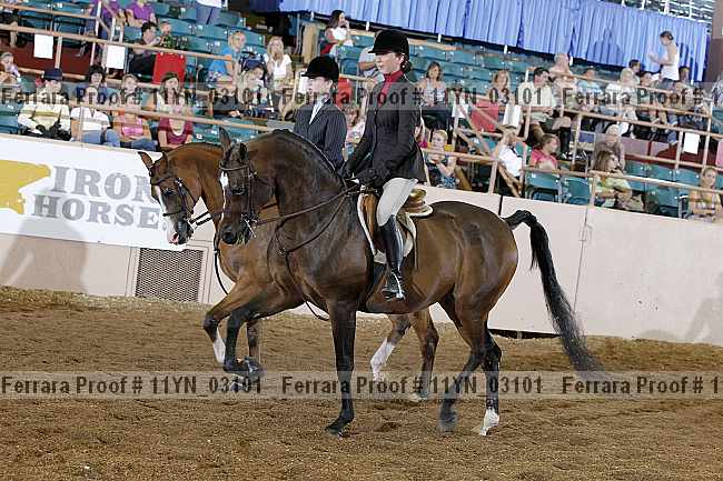 Proof 11yn_03101