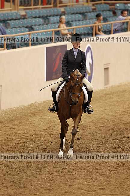 Proof 11yn_03102