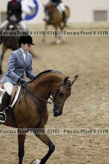 Proof 11yn_03103
