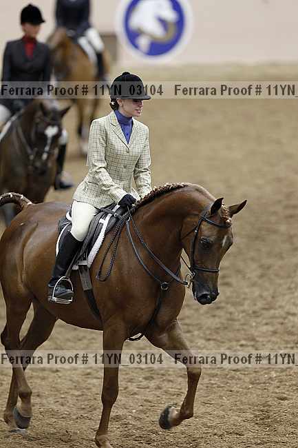 Proof 11yn_03104