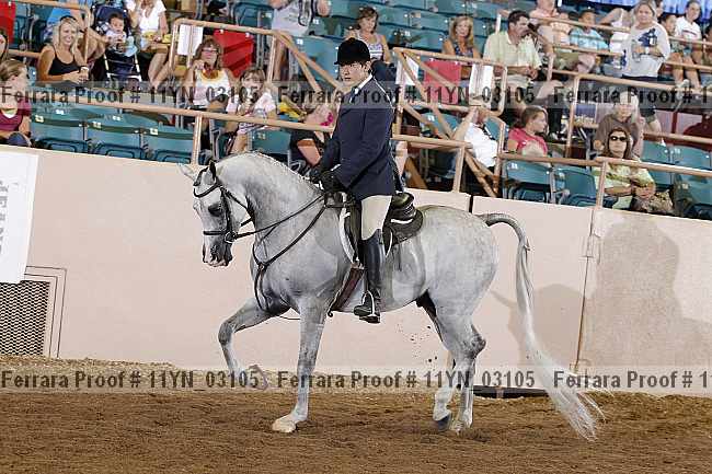 Proof 11yn_03105
