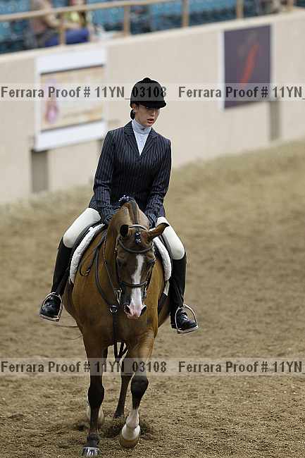 Proof 11yn_03108