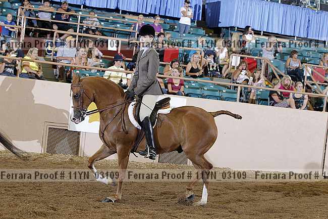 Proof 11yn_03109