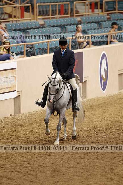 Proof 11yn_03111