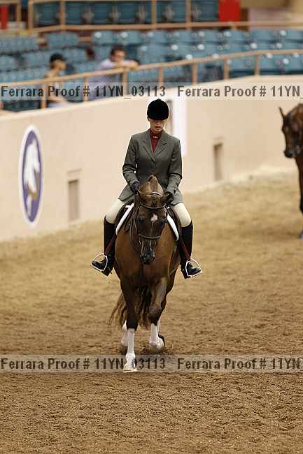 Proof 11yn_03113