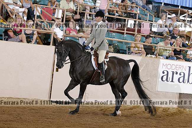 Proof 11yn_03141