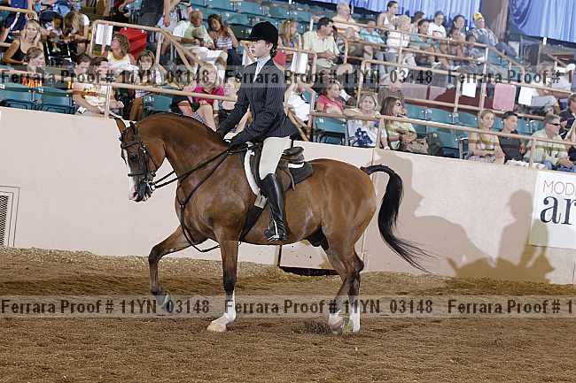 Proof 11yn_03148