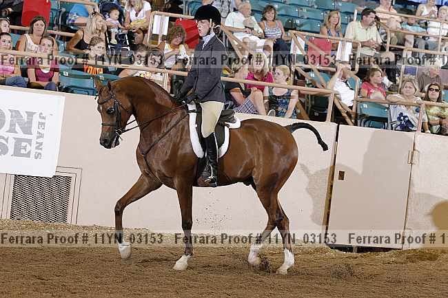 Proof 11yn_03153