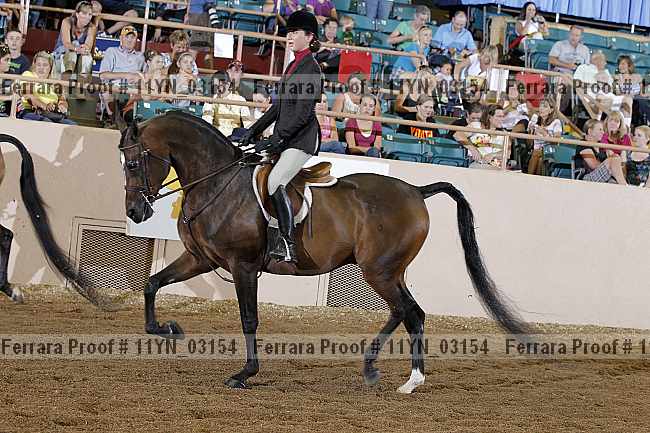 Proof 11yn_03154