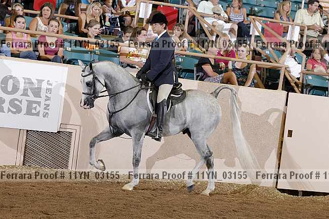 Proof 11yn_03155