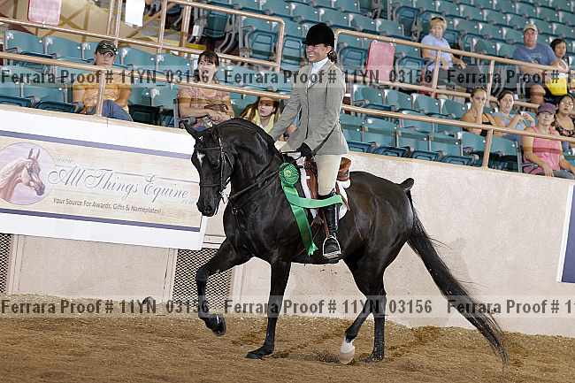 Proof 11yn_03156