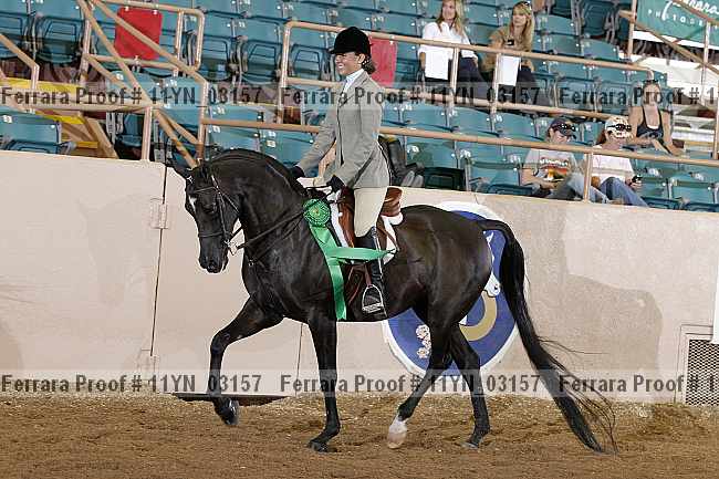 Proof 11yn_03157