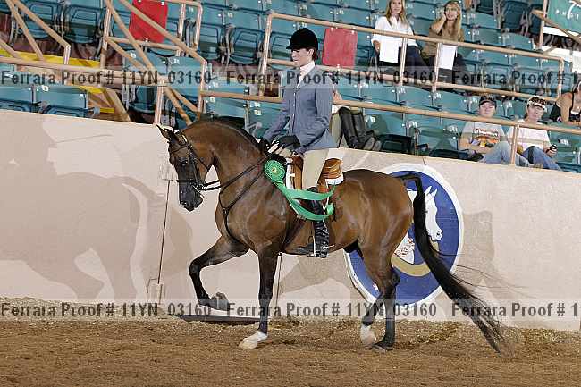Proof 11yn_03160