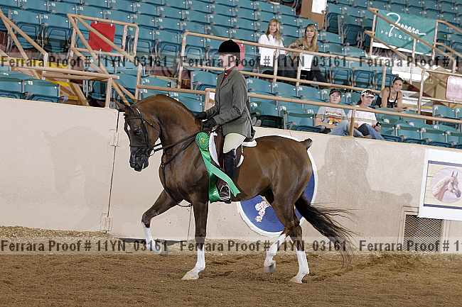 Proof 11yn_03161