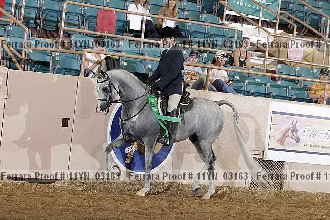 Proof 11yn_03163