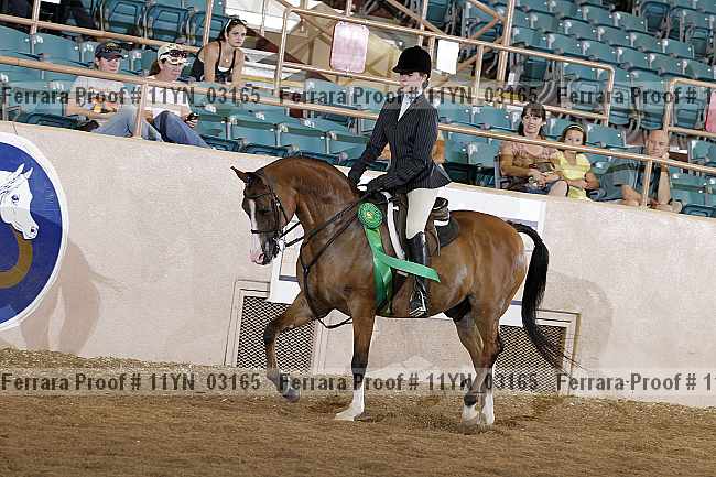 Proof 11yn_03165