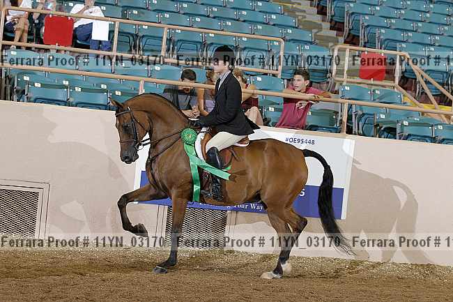 Proof 11yn_03170