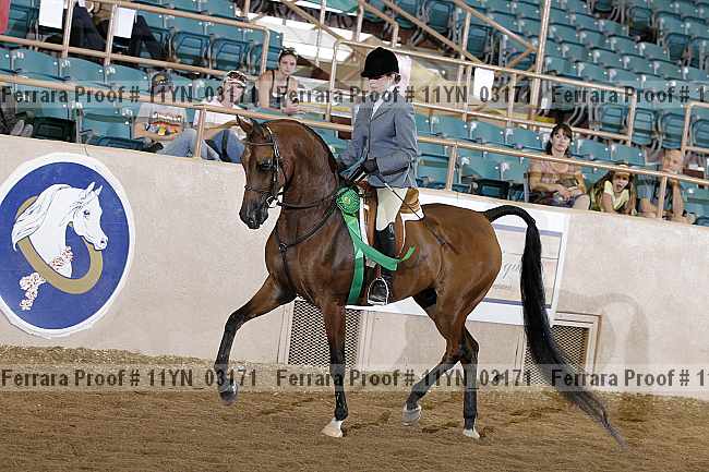 Proof 11yn_03171