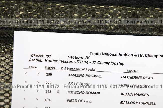 Proof 11yn_03172