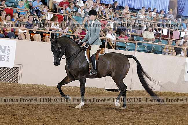 Proof 11yn_03176