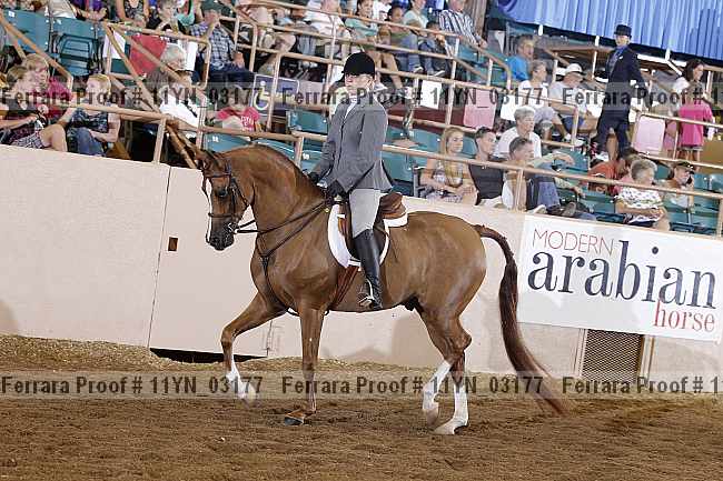 Proof 11yn_03177