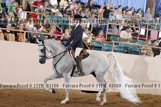 Proof 11yn_03180