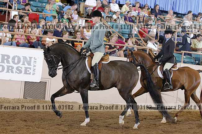Proof 11yn_03182