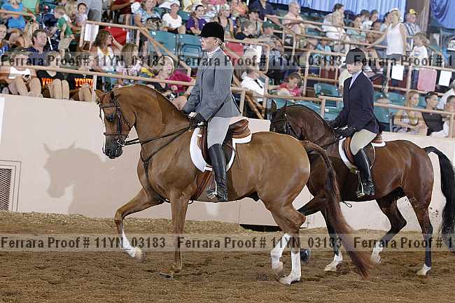 Proof 11yn_03183