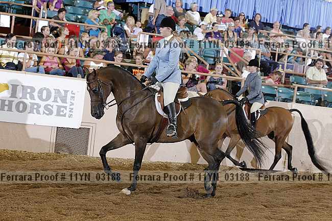 Proof 11yn_03188