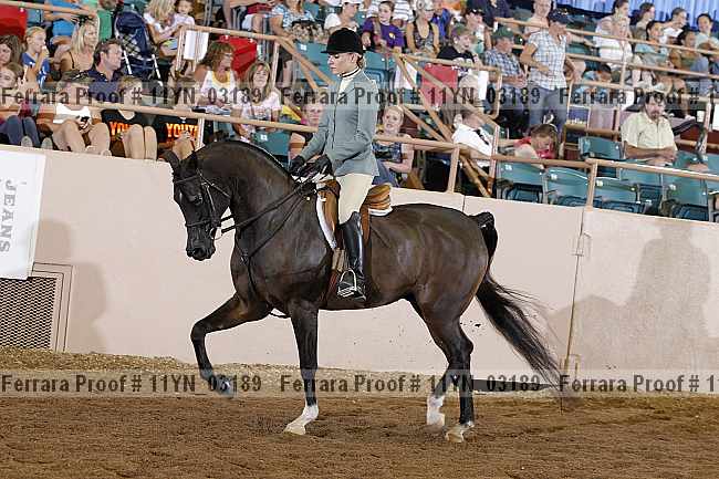 Proof 11yn_03189