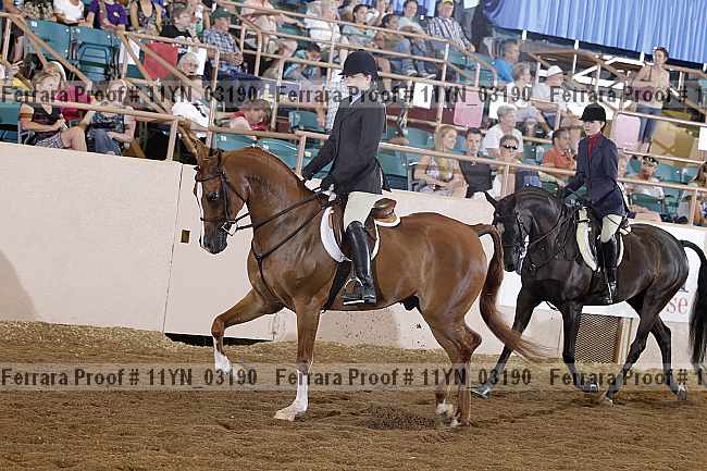 Proof 11yn_03190