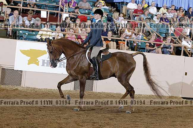 Proof 11yn_03194