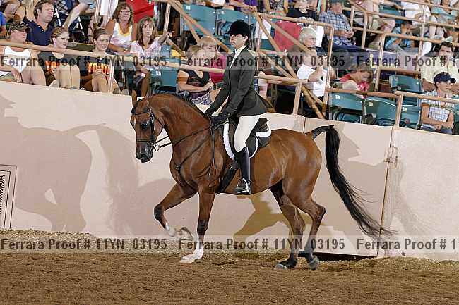 Proof 11yn_03195
