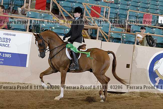 Proof 11yn_03206