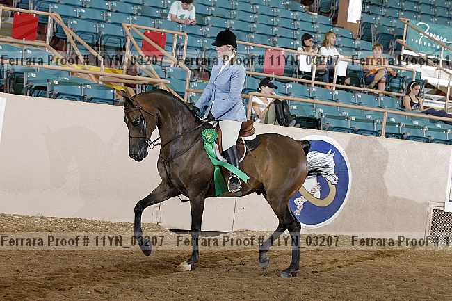Proof 11yn_03207