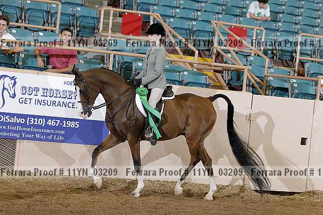 Proof 11yn_03209