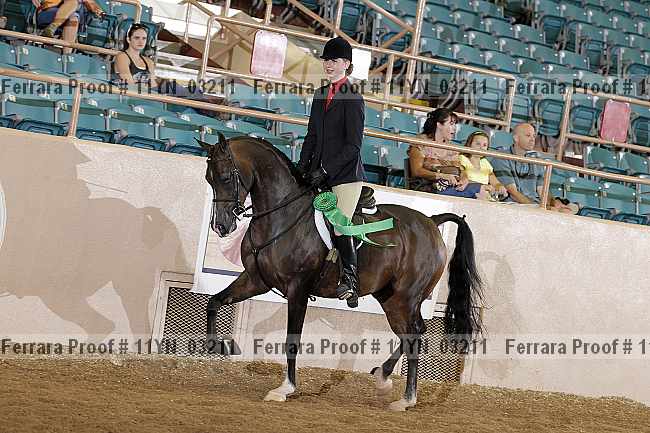 Proof 11yn_03211