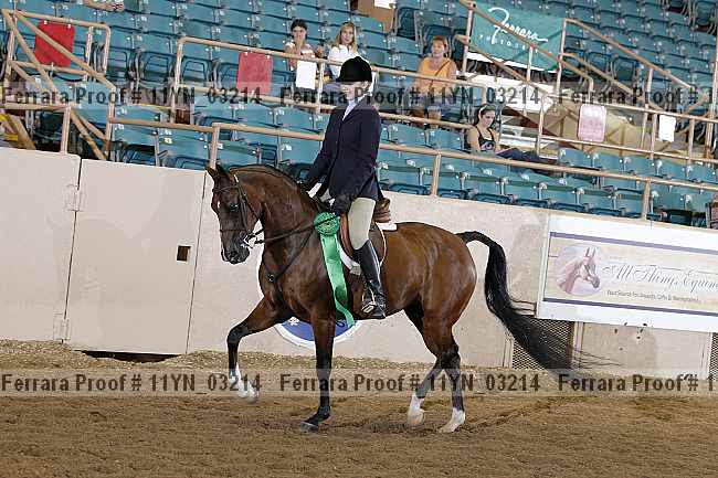 Proof 11yn_03214